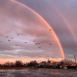 裸体比基尼美女虑待尿口
